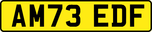 AM73EDF