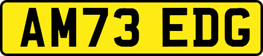 AM73EDG