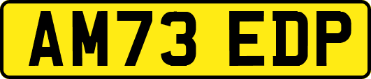 AM73EDP