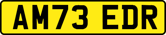 AM73EDR