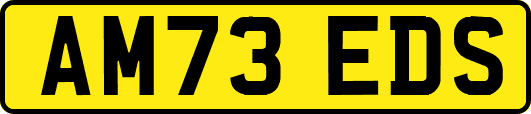 AM73EDS