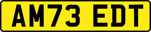 AM73EDT