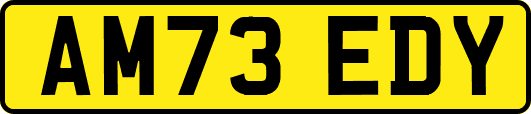 AM73EDY