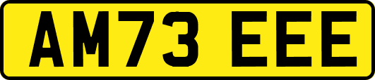 AM73EEE