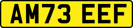 AM73EEF