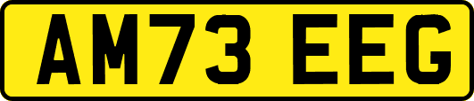 AM73EEG