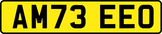AM73EEO