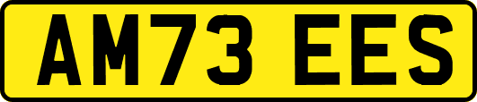 AM73EES