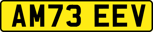AM73EEV