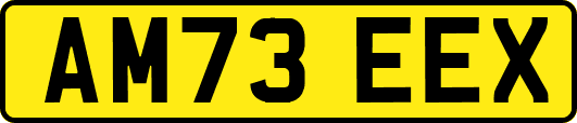 AM73EEX