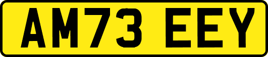 AM73EEY