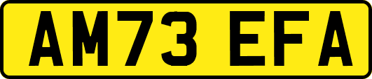 AM73EFA
