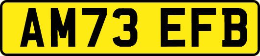 AM73EFB