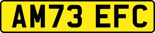 AM73EFC