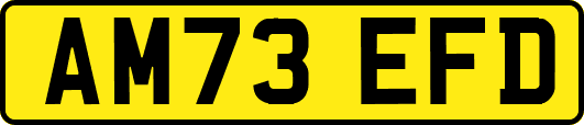 AM73EFD