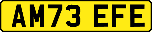 AM73EFE