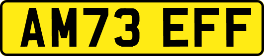 AM73EFF