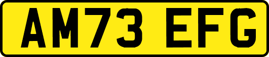 AM73EFG