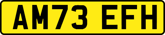 AM73EFH