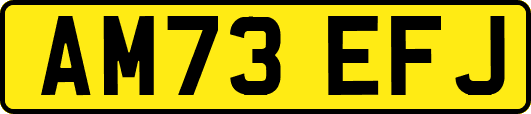 AM73EFJ