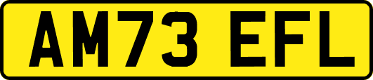 AM73EFL