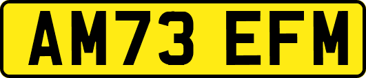 AM73EFM