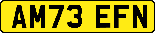AM73EFN