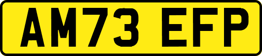 AM73EFP
