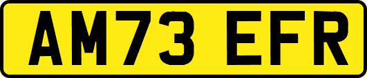 AM73EFR