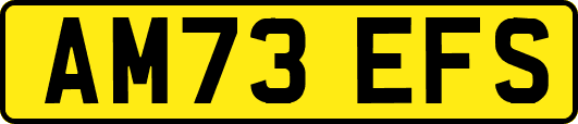AM73EFS