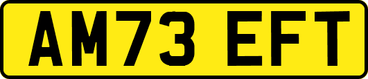 AM73EFT