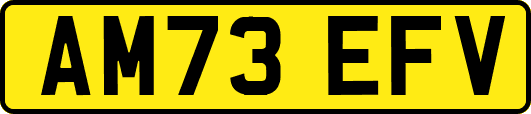 AM73EFV