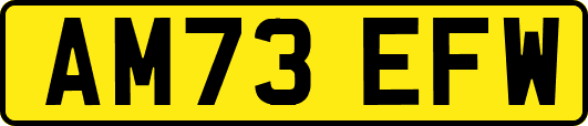 AM73EFW