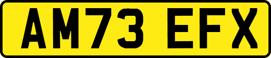 AM73EFX