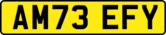 AM73EFY