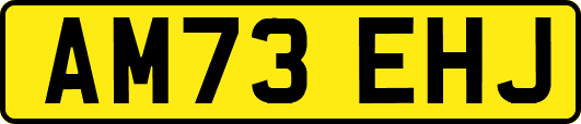 AM73EHJ
