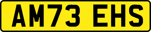 AM73EHS