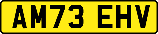 AM73EHV