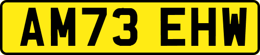AM73EHW