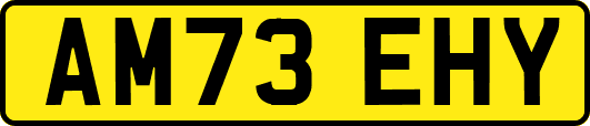 AM73EHY