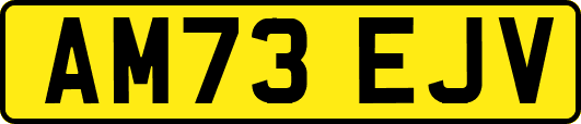 AM73EJV
