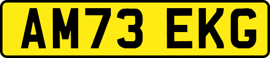AM73EKG