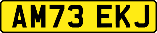 AM73EKJ