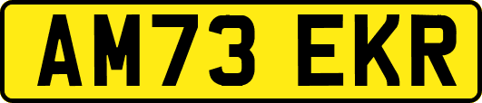 AM73EKR