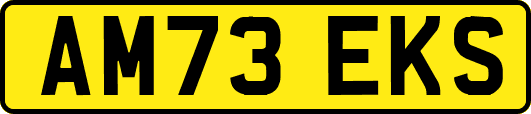 AM73EKS