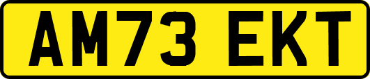 AM73EKT