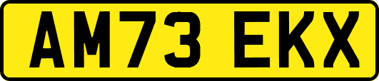 AM73EKX