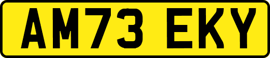 AM73EKY