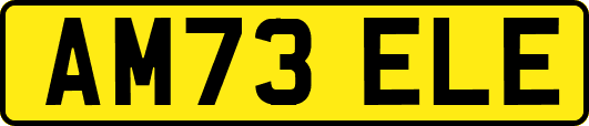 AM73ELE