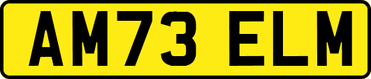 AM73ELM